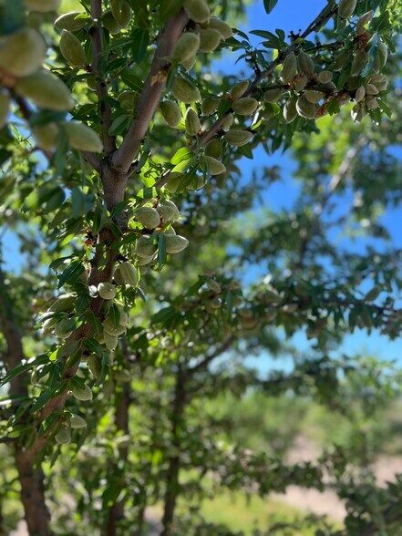 6000 Tim Bell Rd, Oakdale, CA for sale - Building Photo - Image 3 of 12