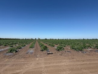 More details for 2110 Drais Rd, Stockton, CA - Land for Sale