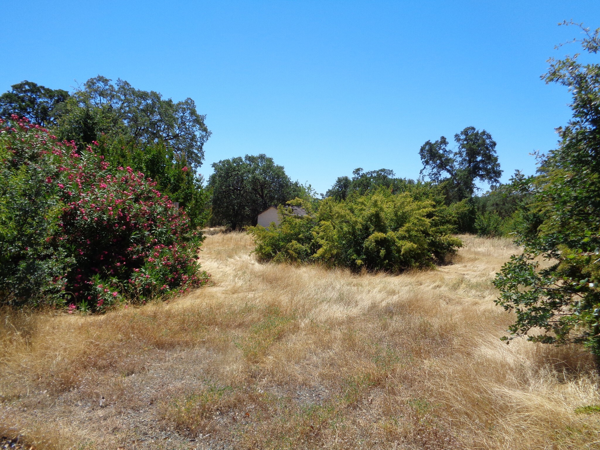 2681 Hartnell Ave, Redding, CA for sale Primary Photo- Image 1 of 8