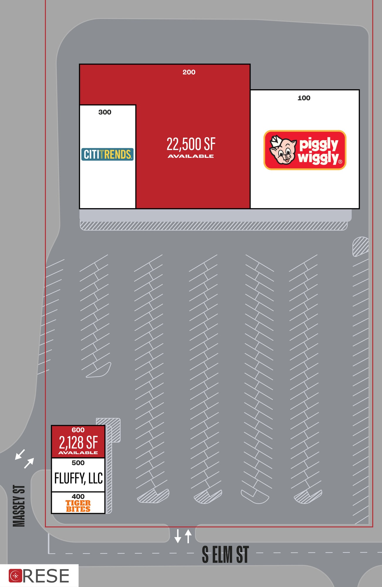 205 S Elm St, Tuskegee, AL for lease Site Plan- Image 1 of 2