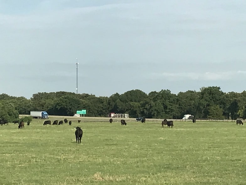 13673 Interstate Highway 30 E, Saltillo, TX for sale - Other - Image 2 of 9