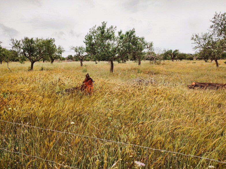 Land in Felanitx, Islas Baleares for sale - Building Photo - Image 2 of 2