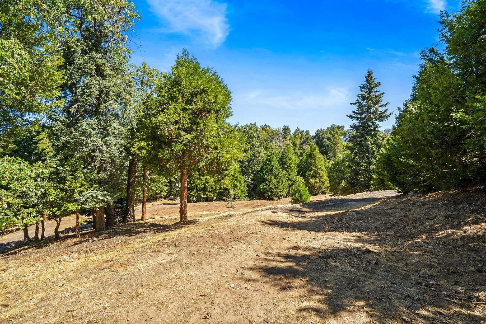 22520 Greenfield Way, Palomar Mountain, CA à vendre Photo principale- Image 1 de 27