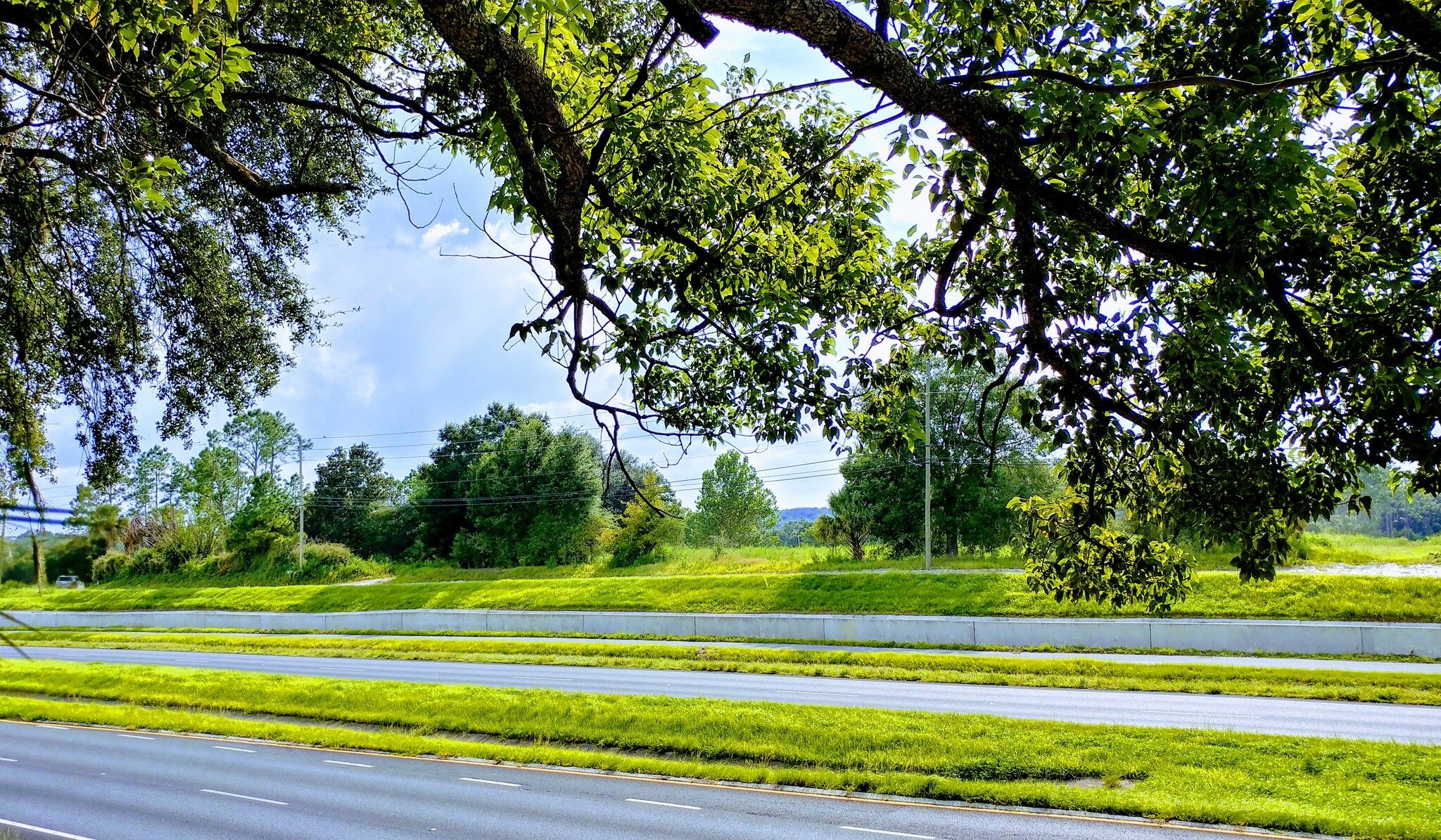 4.16 AC FLU COM Hwy 301 Zephyrhills portfolio of 2 properties for sale on LoopNet.ca Building Photo- Image 1 of 6
