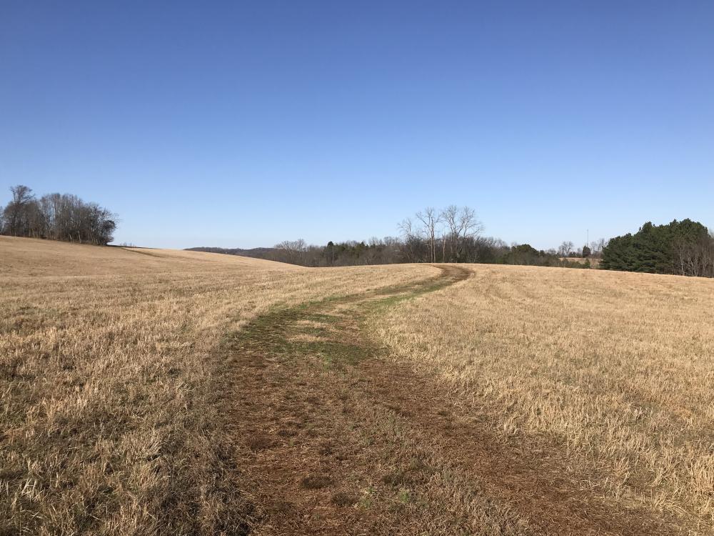 1071 Lakeview Road, Lenoir City, TN for sale Primary Photo- Image 1 of 23