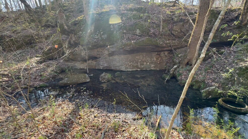 7312 Highway 60, Georgetown, TN for sale - Commercial Listing Video - Image 2 of 121