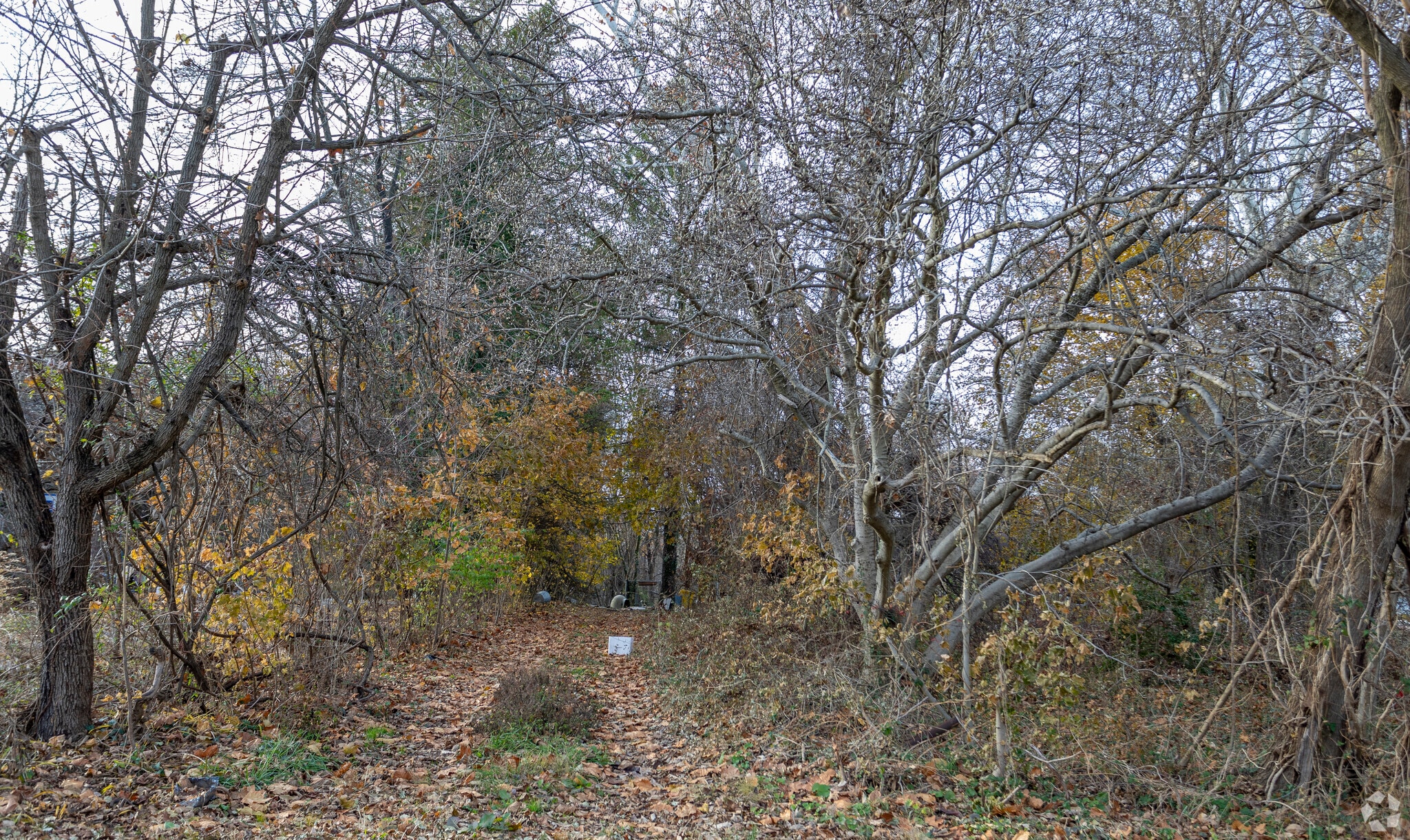 7084 Ridge Rd, Hanover, MD for lease Primary Photo- Image 1 of 3