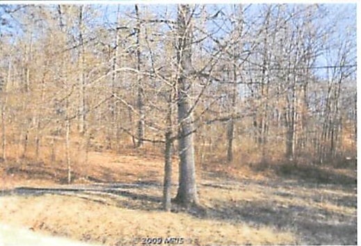 17310 Lee Hwy, Amissville, VA for sale - Primary Photo - Image 1 of 3