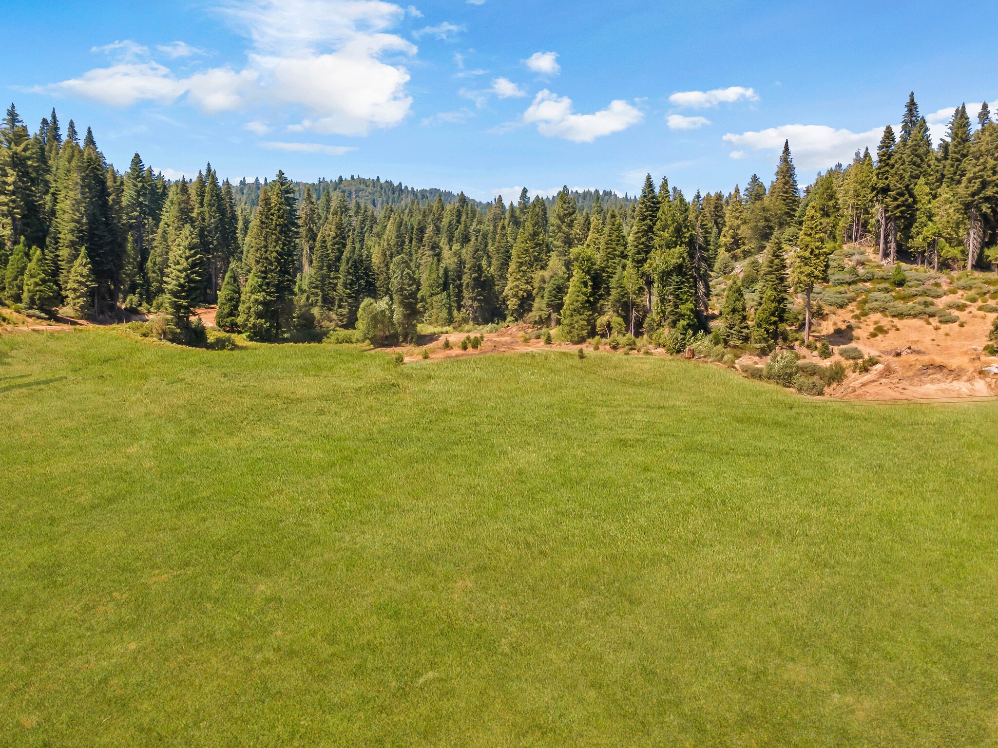 7733 Fish Camp Ln, Fish Camp, CA for sale Primary Photo- Image 1 of 4