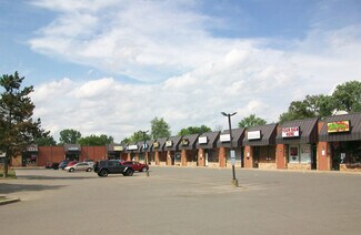 Plus de détails pour 22890 Pontiac Trl, South Lyon, MI - Commerce de détail à louer