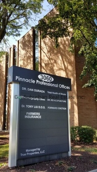 3060-3080 Ogden Ave, Lisle, IL à louer - Photo du bâtiment - Image 2 de 34