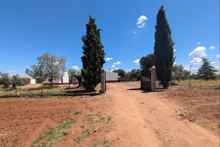 Land in Solana de los Barros, Badajoz for sale - Primary Photo - Image 2 of 49