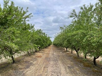 Plus de détails pour 12251 E Jefferson Ave, Del Rey, CA - Terrain à vendre