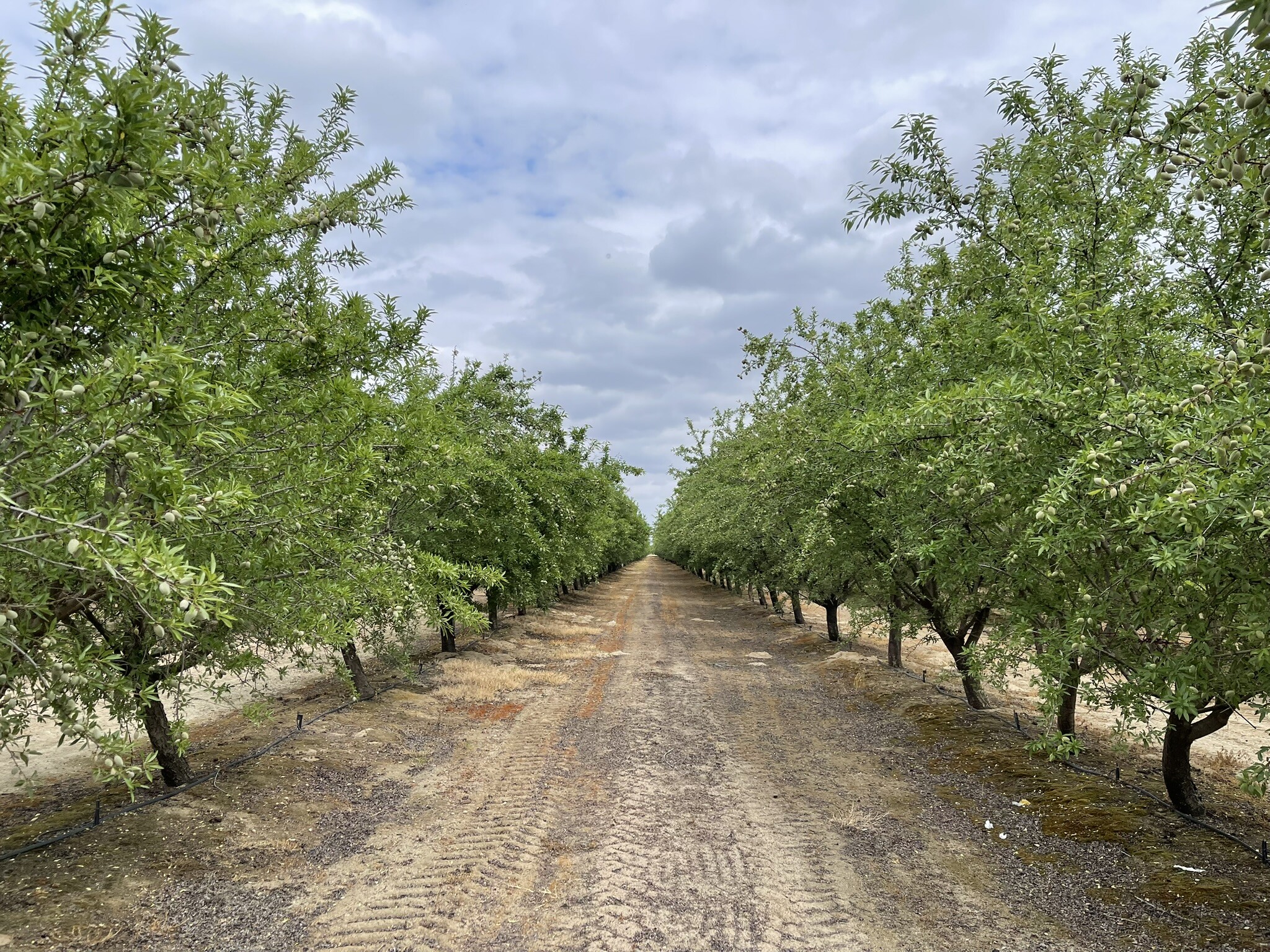 12251 E Jefferson Ave, Del Rey, CA à vendre Photo principale- Image 1 de 4