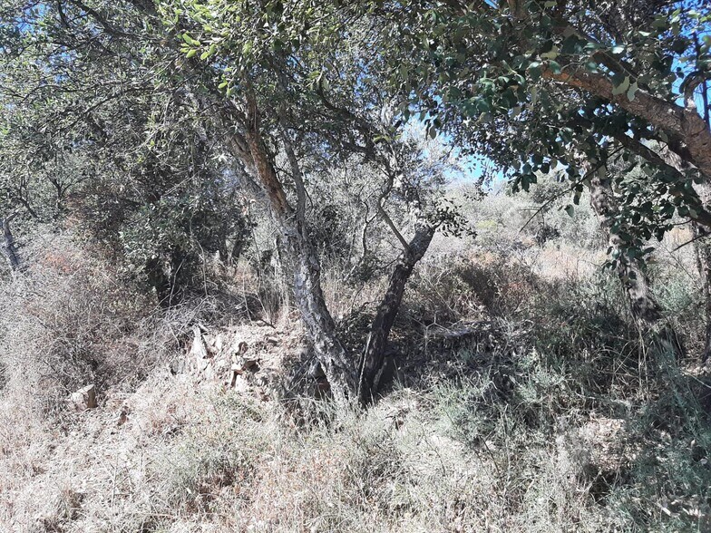 Terrain dans Sierra de Fuentes, Cáceres à vendre - Photo principale - Image 3 de 17