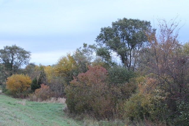 Lot 1 Fabyan, Elburn, IL à vendre - Photo principale - Image 1 de 7