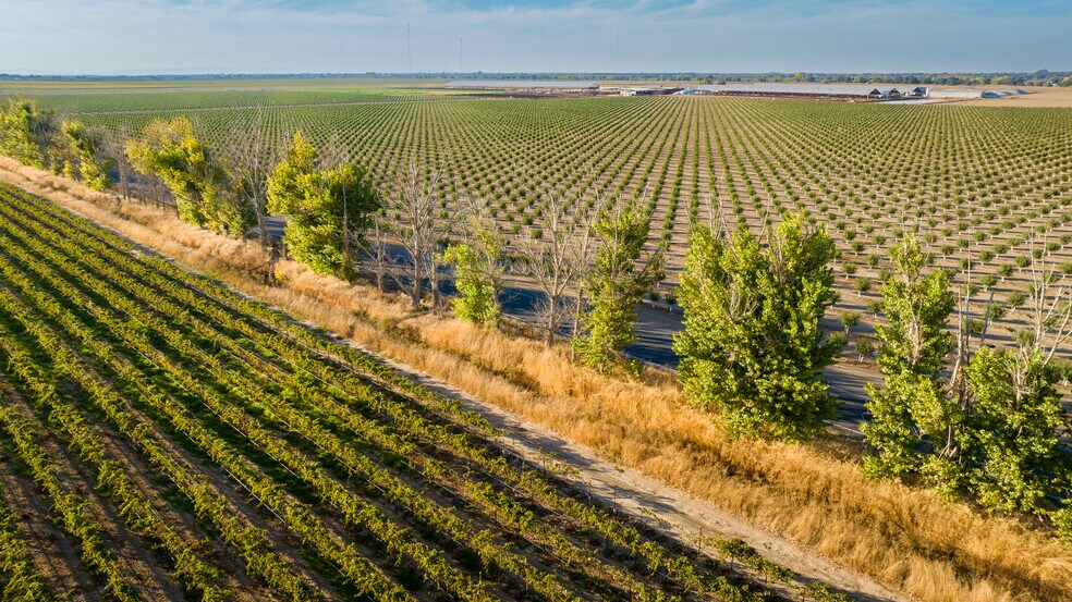 TFC Ranch, Lodi, CA à vendre - Aérien - Image 3 de 31