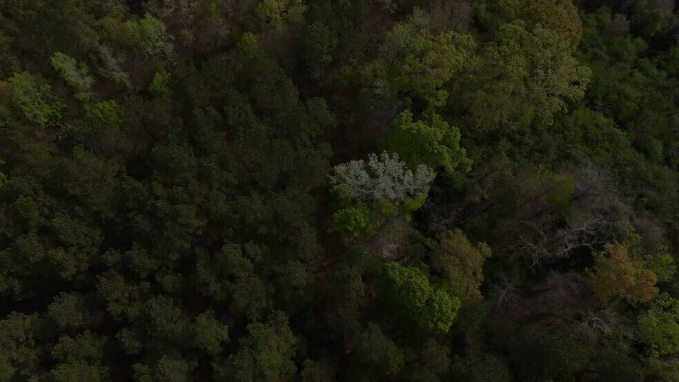 1951 Old Edisto Rd, Orangeburg, SC à vendre - Vidéo sur l’inscription commerciale - Image 2 de 9