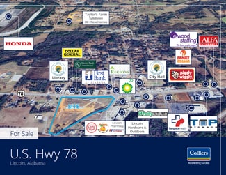 Plus de détails pour Hwy 78 & Magnolia St, Lincoln, AL - Terrain à vendre