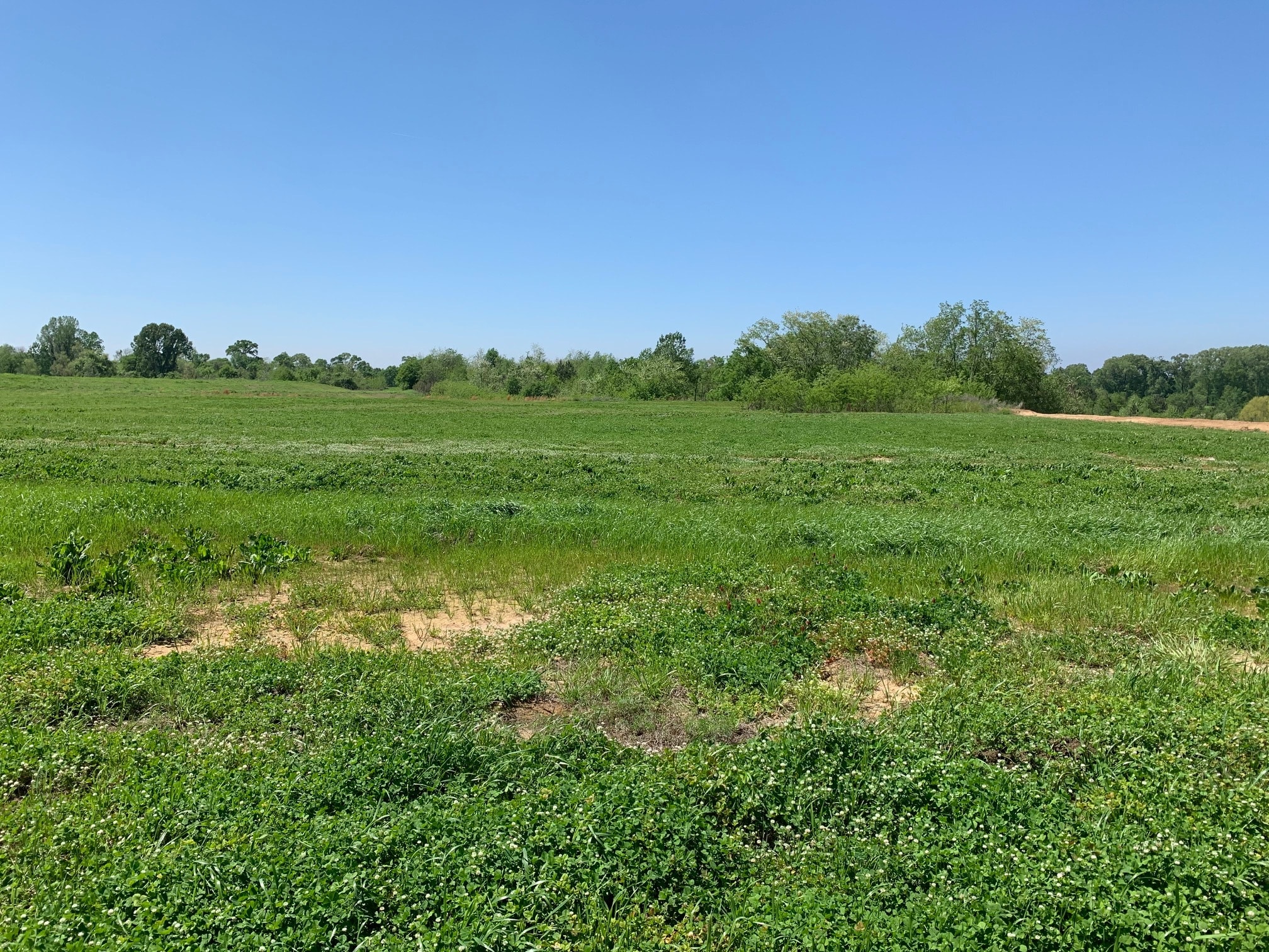 000B-3B Highway 61, Natchez, MS for sale Building Photo- Image 1 of 5
