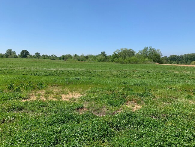 More details for 000B-3B Highway 61, Natchez, MS - Land for Sale