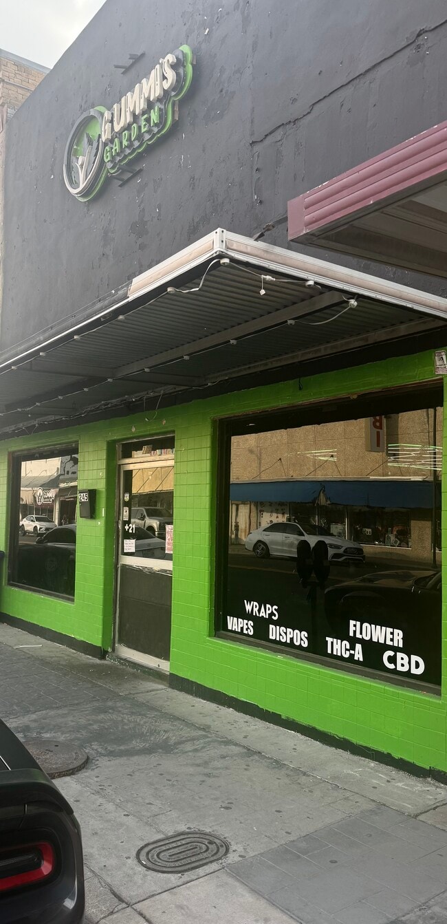 More details for 245 Commercial St, Eagle Pass, TX - Retail for Sale
