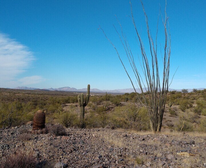 US 60, Wickenburg, AZ à vendre - Autre - Image 2 de 3