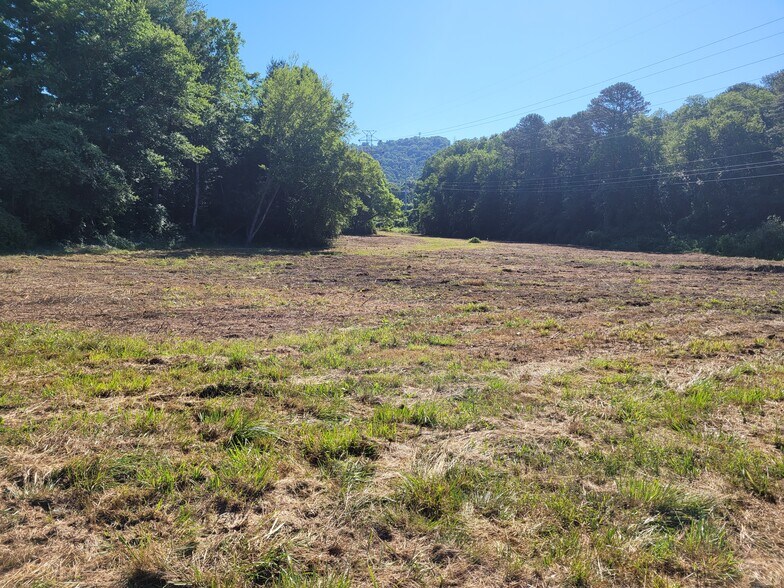 9999 Hendersonville Rd, Arden, NC à vendre - Photo du bâtiment - Image 3 de 12