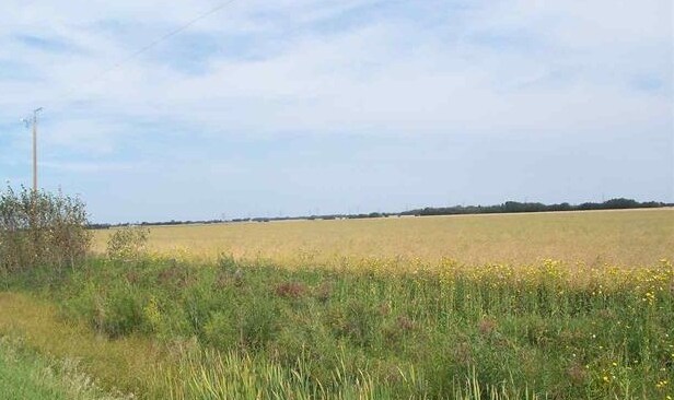 55117 Range Road 234, Sturgeon County, AB à vendre Photo principale- Image 1 de 1