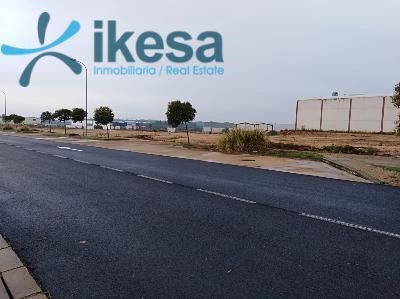 Land in Lepe, Huelva for sale - Building Photo - Image 3 of 16