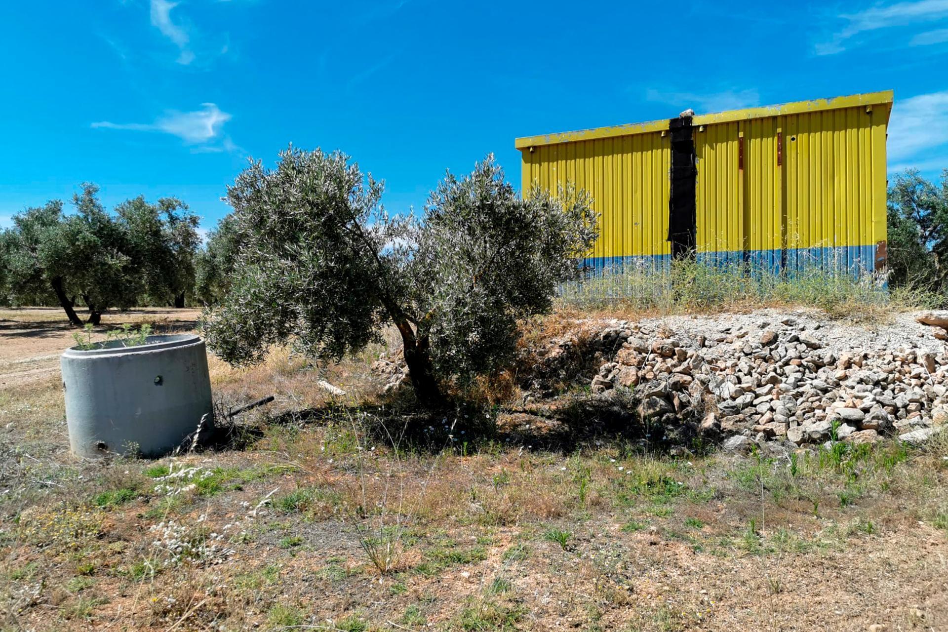 Llano Salviar Polígono, 13, Parcela: 20, Huelma, Jaén for sale Primary Photo- Image 1 of 7