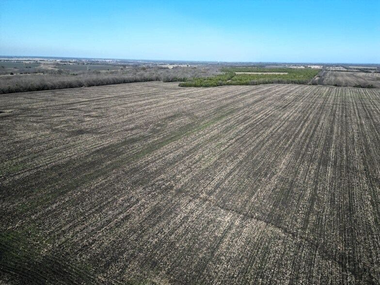 99 ac County Road 4914, Ladonia, TX à vendre - Photo du bâtiment - Image 3 de 19