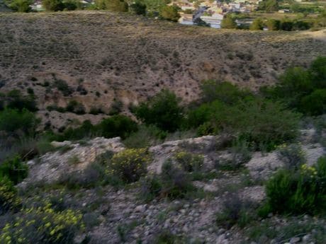 Terrain dans Alguazas, Murcia à vendre Aérien- Image 1 de 10