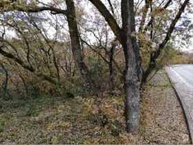 Calle Fresno, 10, Villalbilla, Madrid à vendre - Photo du bâtiment - Image 2 de 12