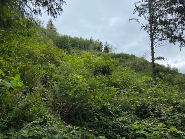 TL 203 Beaver Creek, Seal Rock, OR for sale - Other - Image 1 of 12