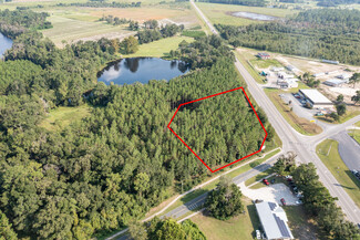 Plus de détails pour HWY 90 & CR 137, Wellborn, FL - Terrain à vendre