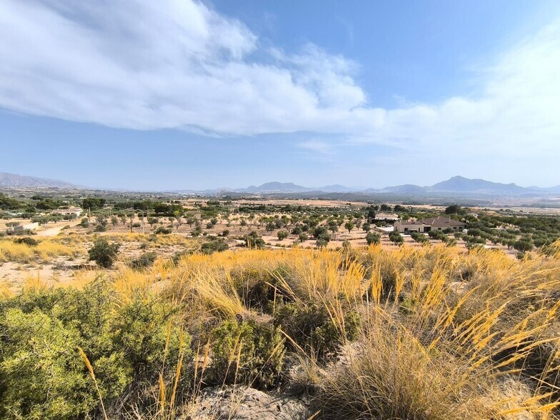 Land in Sax, Alicante for sale - Primary Photo - Image 1 of 6