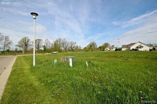 Plus de détails pour 12058 Innsbruck Pl, Clio, MI - Terrain à vendre