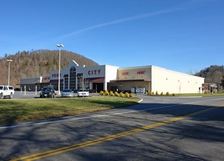 More details for 736 N Beaver Dam Ave, Damascus, VA - Office/Retail for Lease