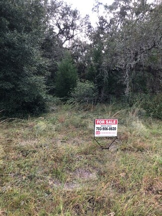 Plus de détails pour 2819 Blanding Blvd, Middleburg, FL - Terrain à vendre