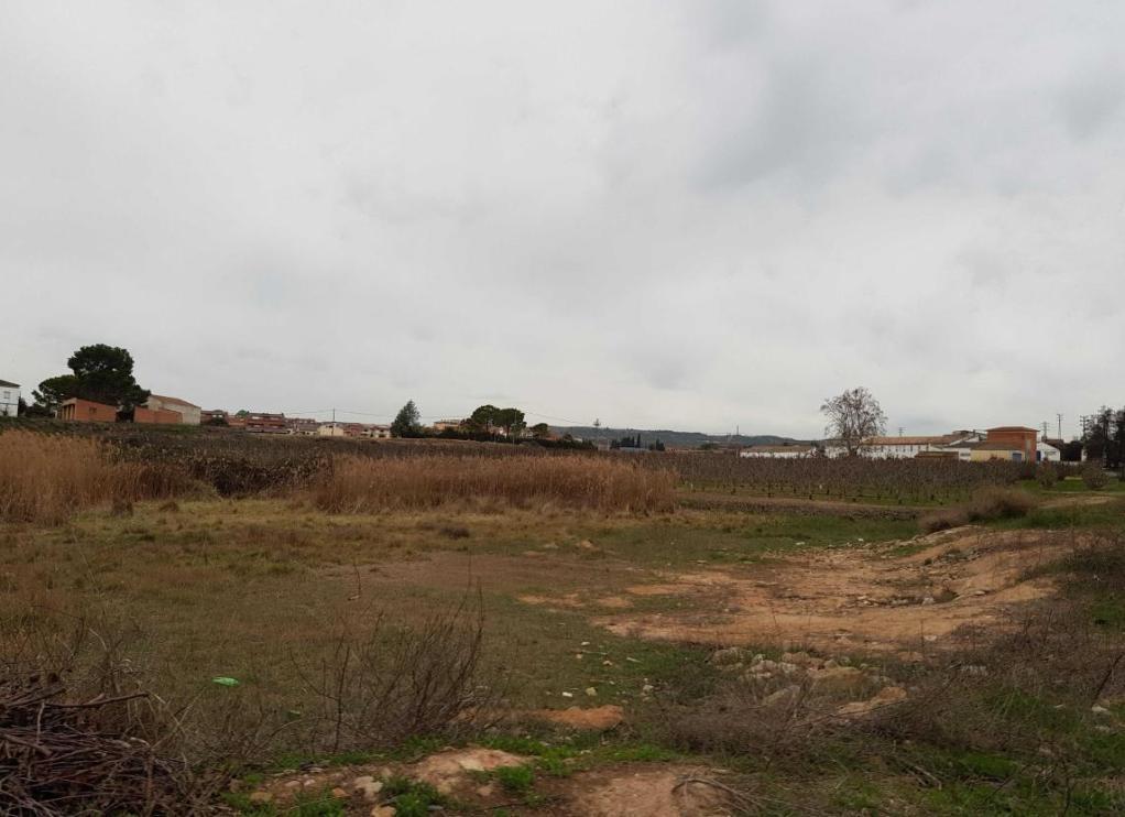 Terrain dans Torrefarrera, Lérida à vendre Plan d’étage- Image 1 de 5