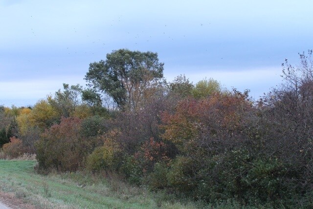 Lot 2 Fabyan Parkway, Elburn, IL for sale - Building Photo - Image 2 of 7