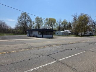 Plus de détails pour 102 Lansing St, Charlotte, MI - Commerce de détail à vendre