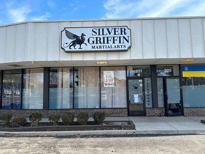 201-225 S Meacham Rd, Schaumburg, IL for lease - Building Photo - Image 2 of 6