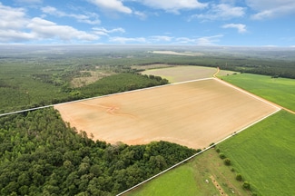 More details for 0 Old Stage rd, Repton, AL - Land for Sale