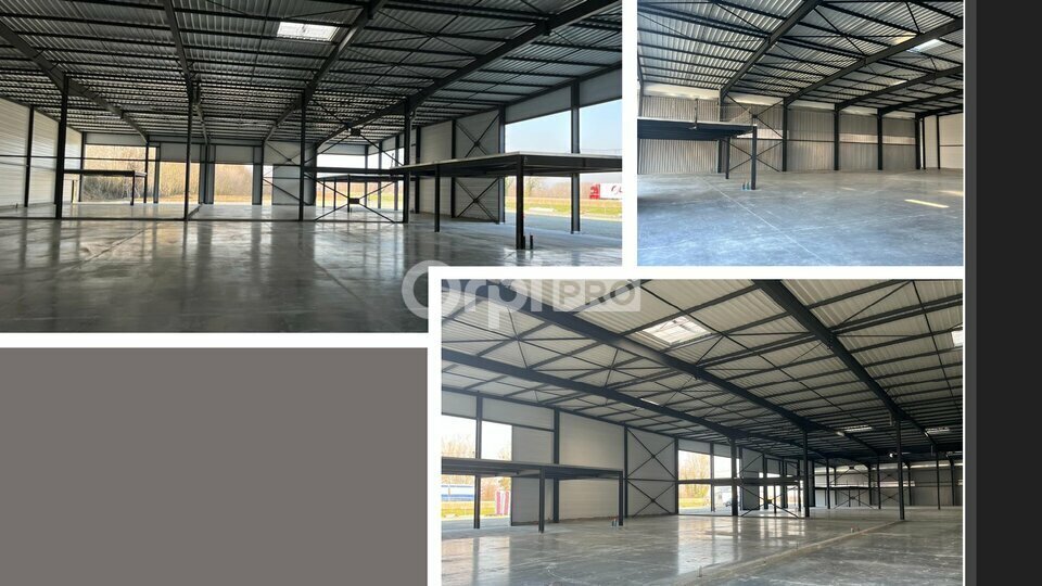 Flex in Ambérieux for lease - Building Photo - Image 3 of 4