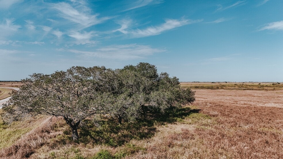 5509 FM 444, Inez, TX à vendre - Photo du bâtiment - Image 3 de 11