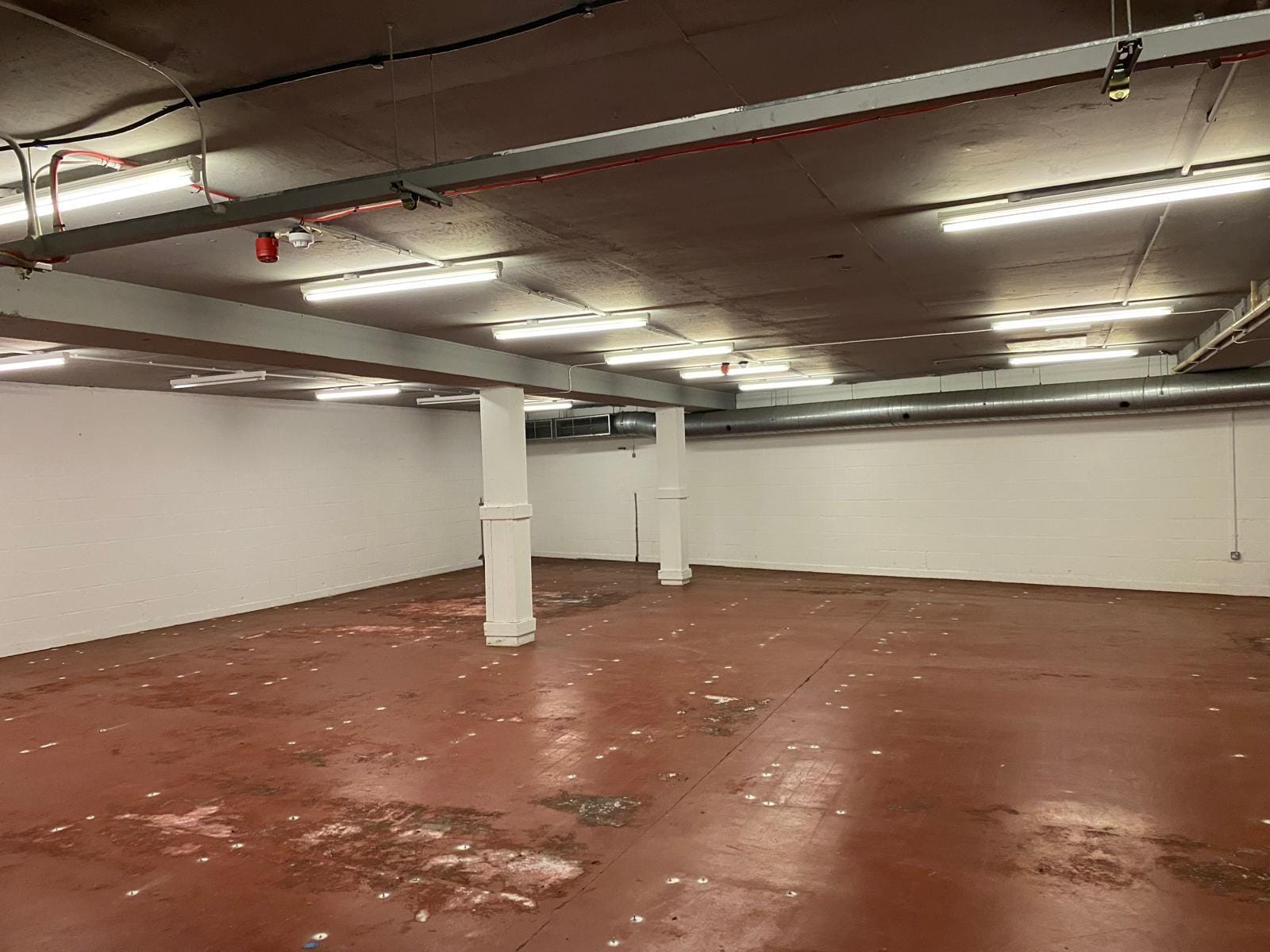 18 High St, Blairgowrie for lease Interior Photo- Image 1 of 4