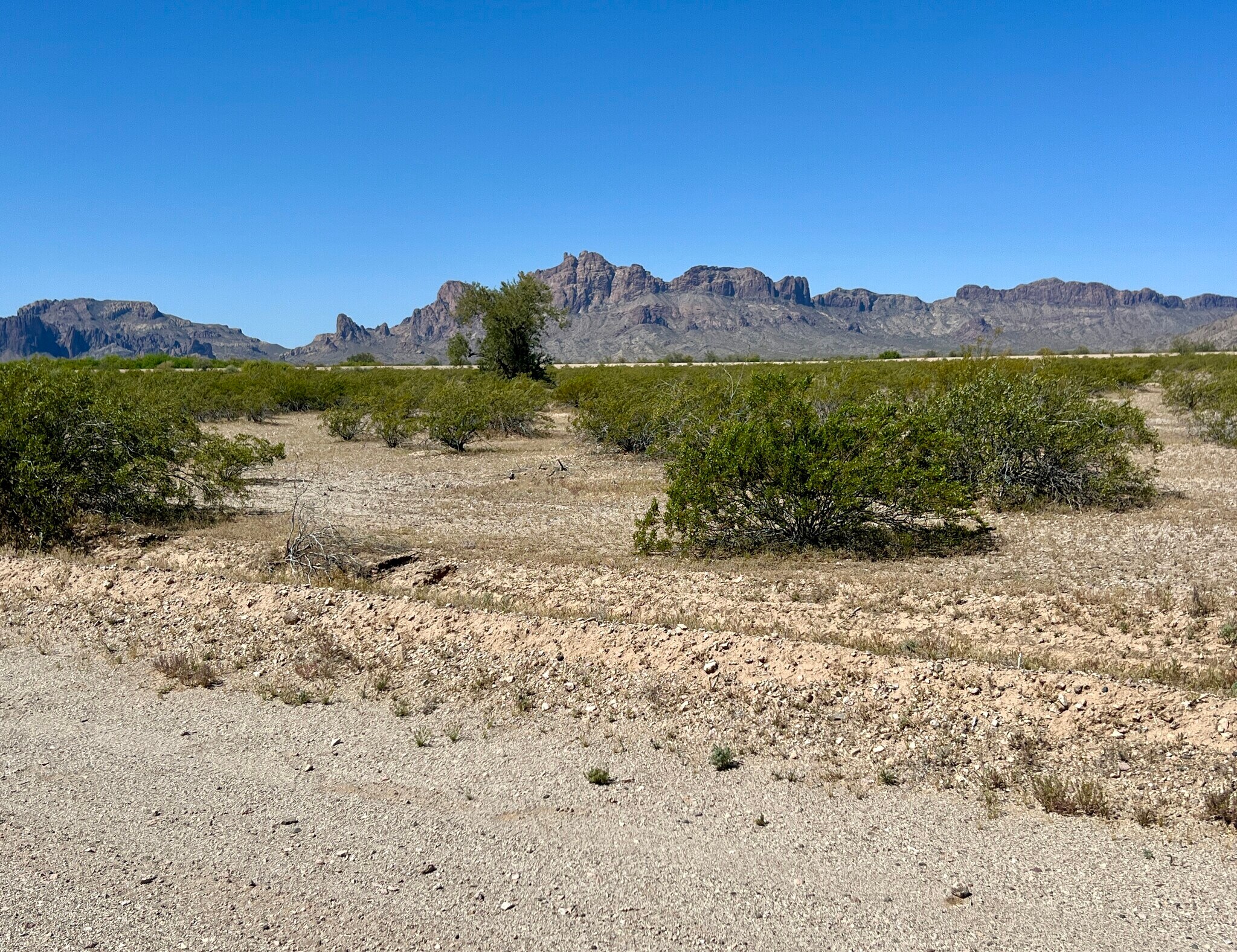 0 W 548th Ave, Tonopah, AZ for sale Primary Photo- Image 1 of 11