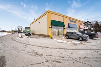 Plus de détails pour 1074 10th St, Hanover, ON - Commerce de détail à louer